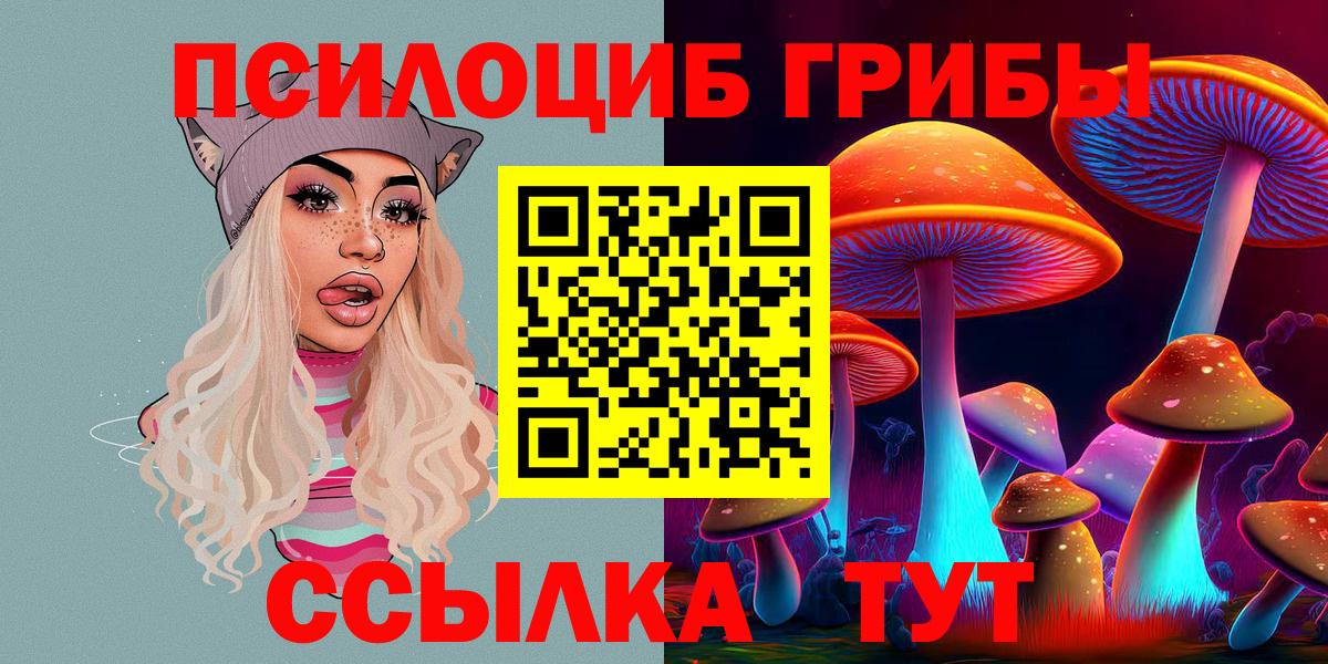 Псилоцибиновые грибы мицелий Сыктывкар