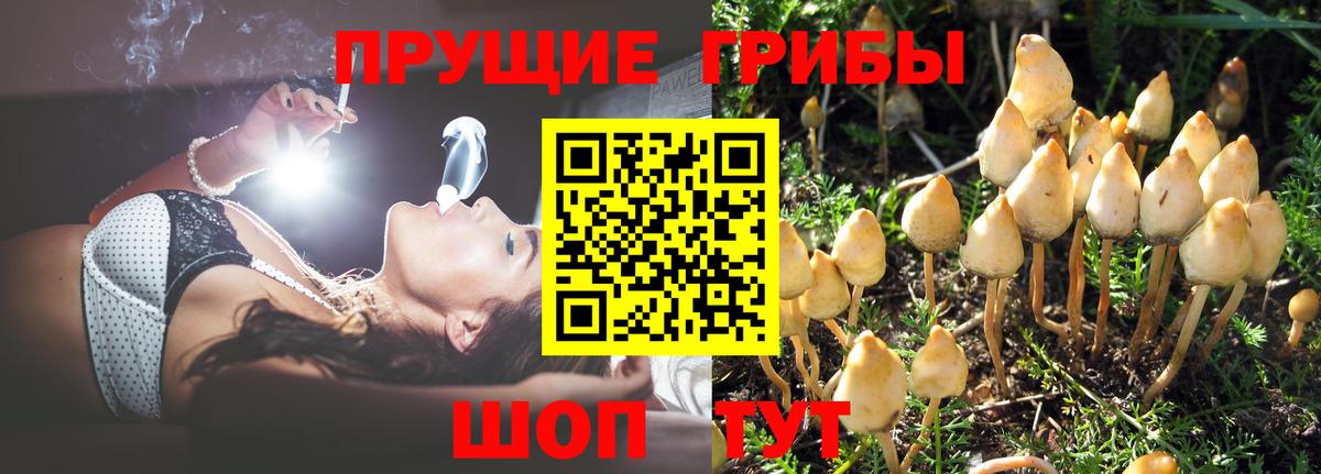 Сыктывкар  Галлюциногенные грибы Magic Shrooms  Вход с VPN 
